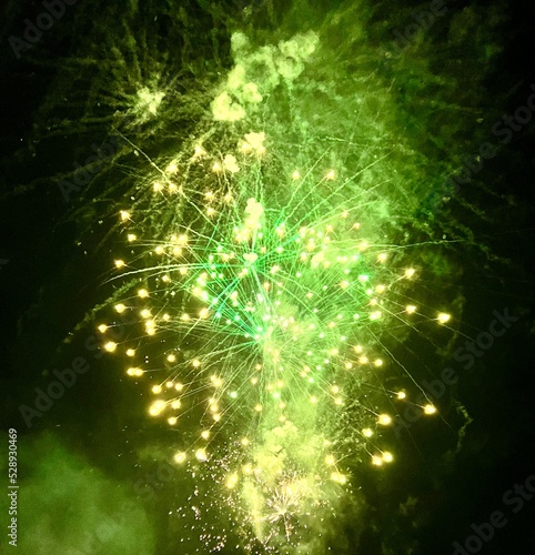 fireworks in the night sky