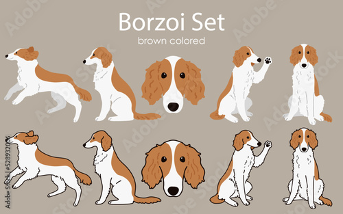 Cute and simple brown Borzoi illustrations set © You