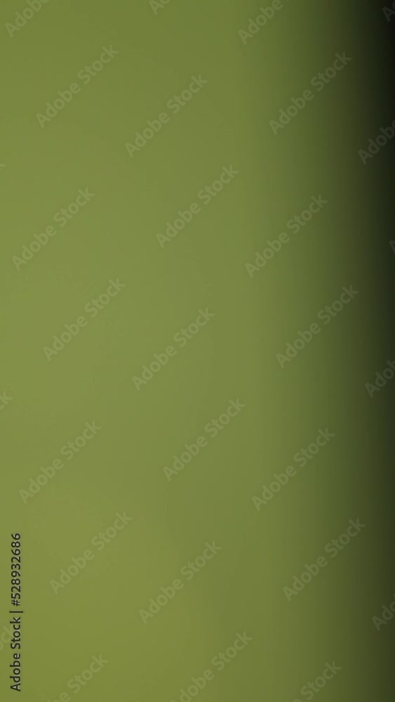 Yellow lights on green backgrounds video Yellow lights on green backgrounds video