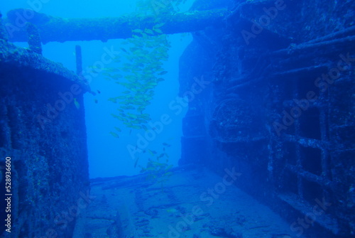 The Seatiger shipwreck when SCUBA diving off of Oahu. Wreck diving adventures with Oahu Diving, your wreck dive specialist. © Optimistic Fish