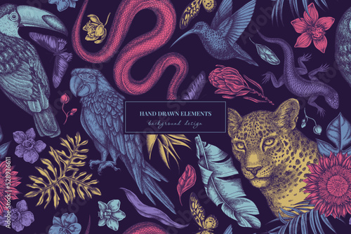 Tropical animals seamless pattern background design. Engraved style. Hand drawn leopard, snake, lizard, hummingbird, toucan, scarlet macaw, rajah brooke's birdwing, african giant swallowtail, monstera