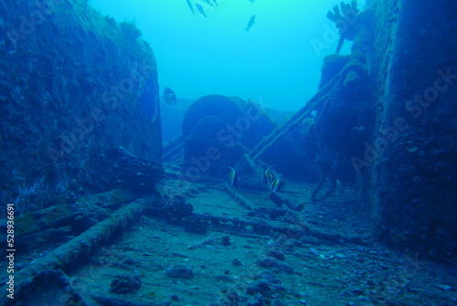 The Seatiger shipwreck when SCUBA diving off of Oahu. Wreck diving adventures with Oahu Diving, your wreck dive specialist. © Optimistic Fish