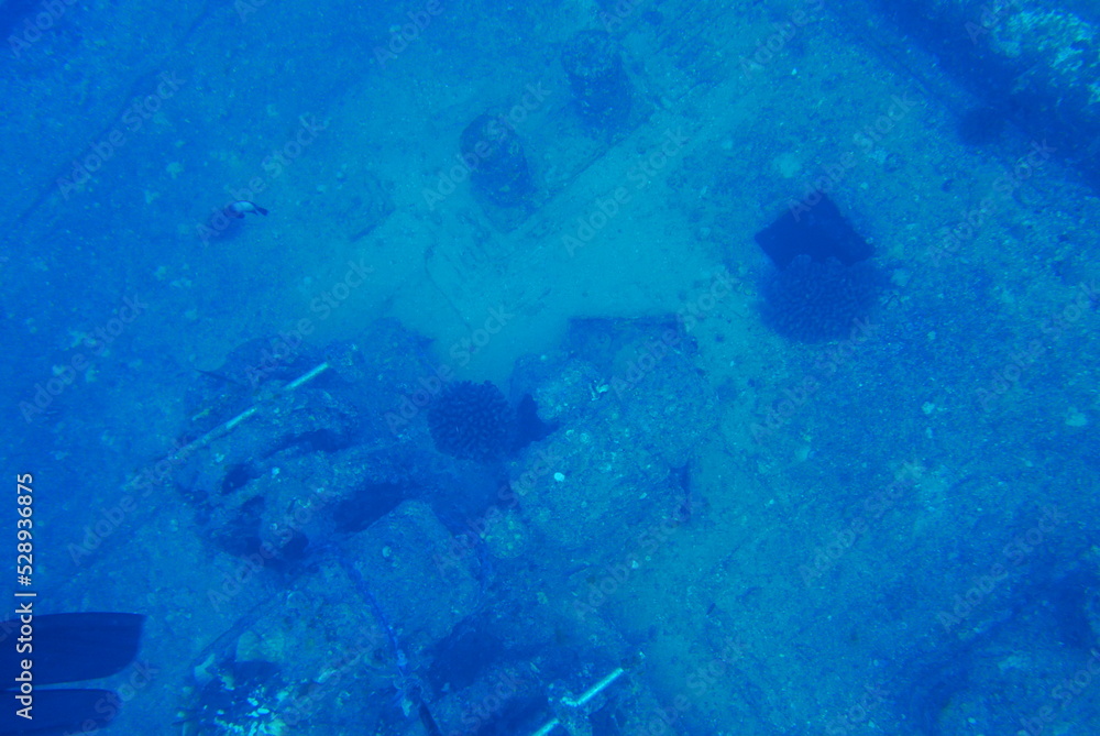 The Seatiger shipwreck when SCUBA diving off of Oahu. Wreck diving adventures with Oahu Diving, your wreck dive specialist. The Seatiger shipwreck when SCUBA diving off of Oahu. Wreck diving adventures with Oahu Diving, your wreck dive specialist.