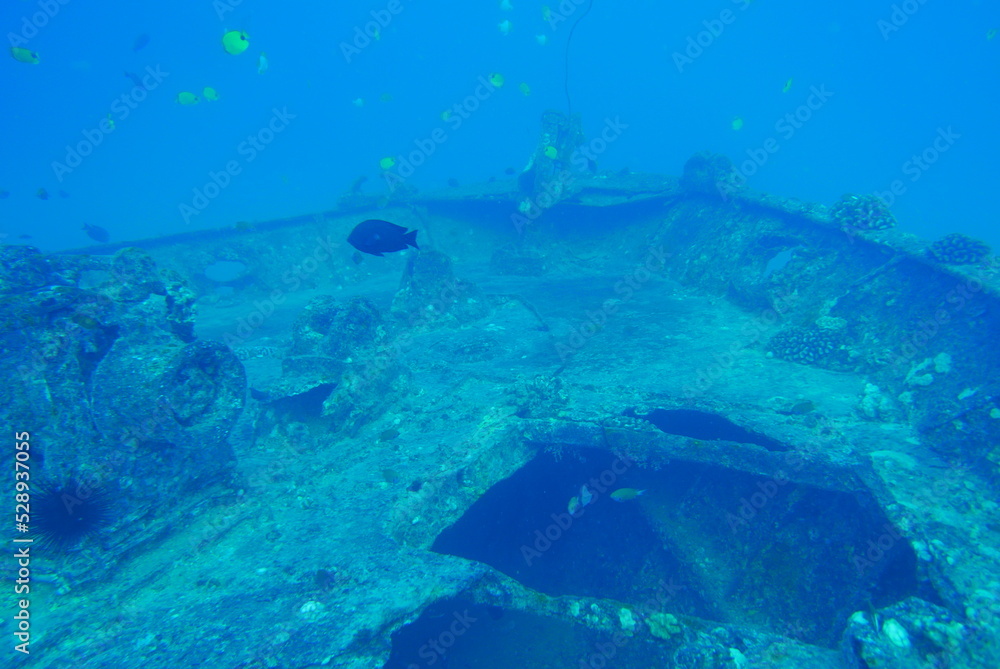 The Seatiger shipwreck when SCUBA diving off of Oahu. Wreck diving adventures with Oahu Diving, your wreck dive specialist.