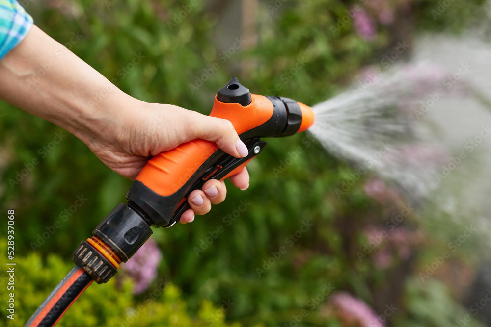 Naklejka premium woman watering plant in garden in summer