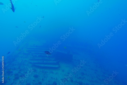 The Seatiger shipwreck when SCUBA diving off of Oahu. Wreck diving adventures with Oahu Diving, your wreck dive specialist.