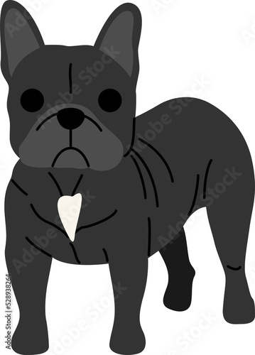 French bulldog illustration