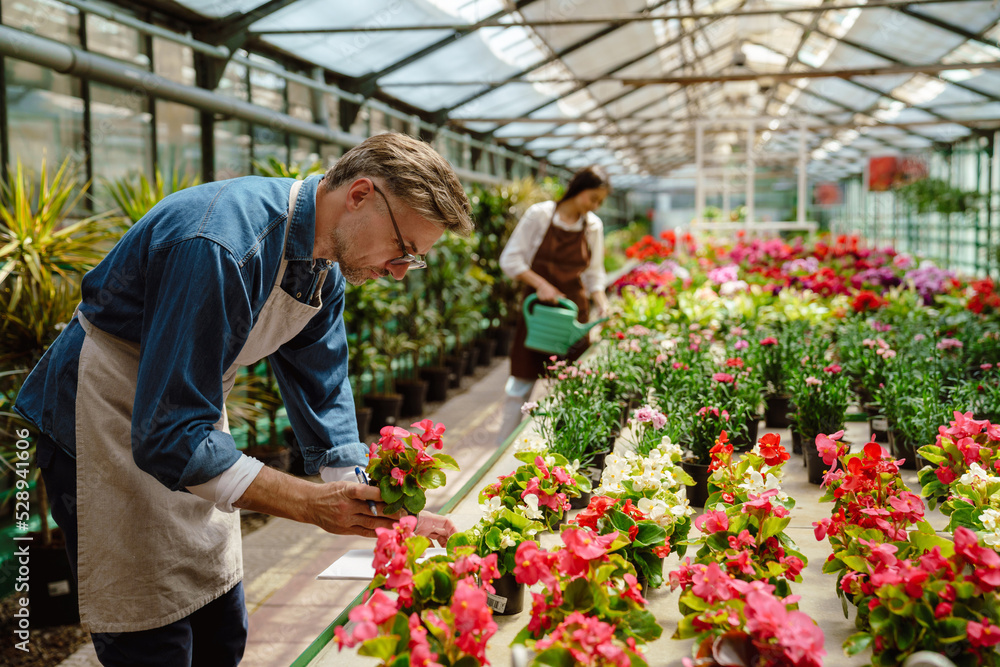 White woman and man wearing aprons standing by plants in greenhouse White woman and man wearing aprons standing by plants in greenhouse