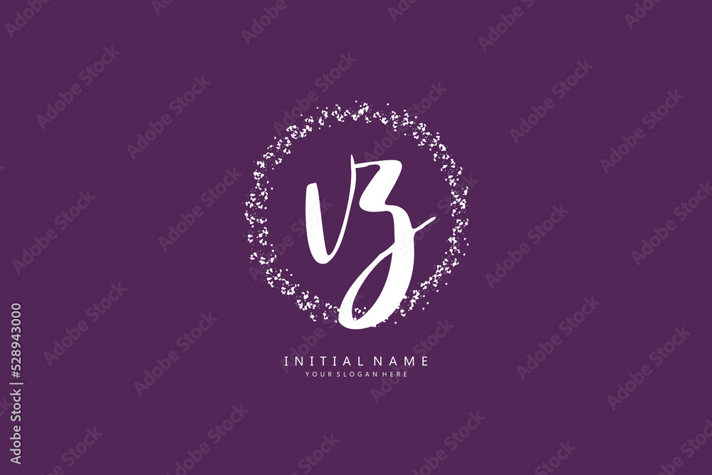 VZ Initial handwriting or handwritten logo for identity. Logo with signature and hand drawn style. VZ Initial handwriting or handwritten logo for identity. Logo with signature and hand drawn style.