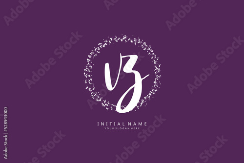 VZ Initial handwriting or handwritten logo for identity. Logo with signature and hand drawn style.