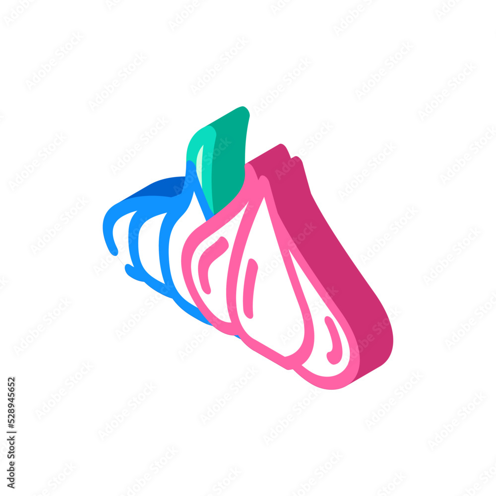 Fototapeta premium ripe garlic isometric icon vector. ripe garlic sign. isolated symbol illustration