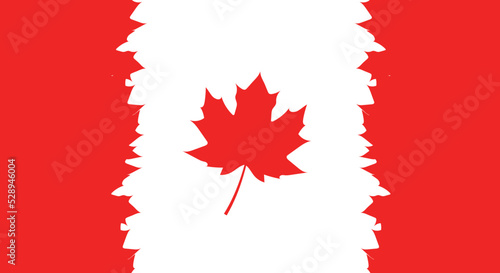 flag of canada from red maple leaves vector