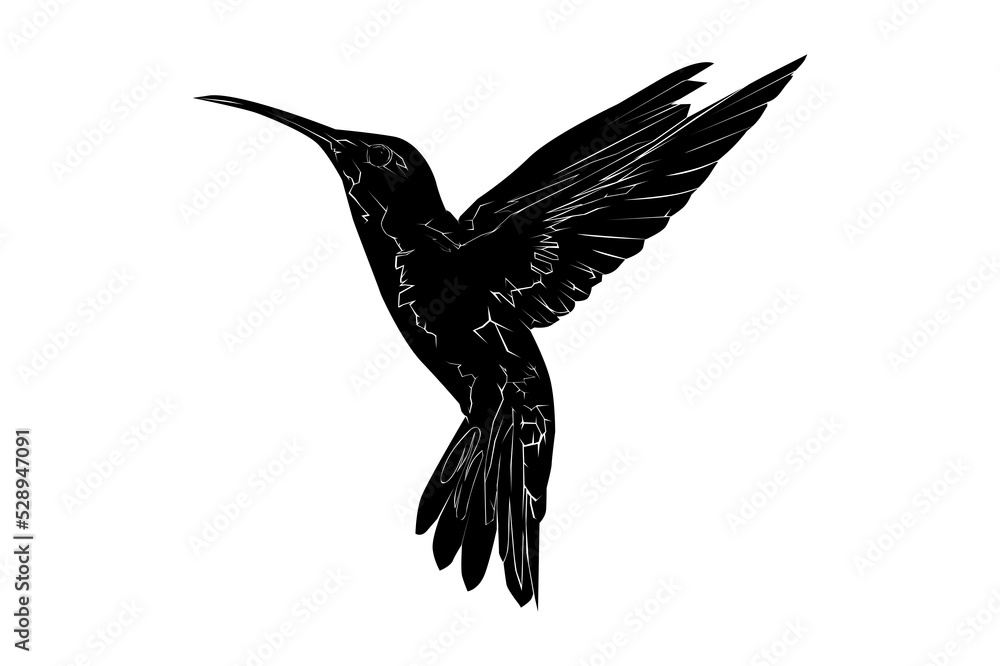 Obraz premium Hummingbird silhouette