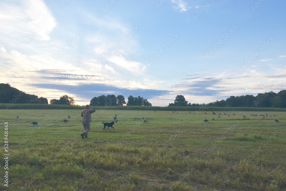 A hunter heads out with his Lab to retrieve a goose 