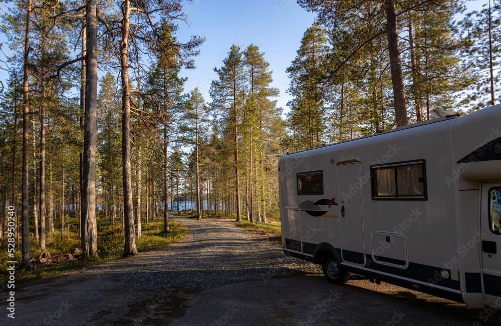 camping in the forest