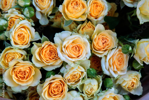 A bouquet of beautiful pale yellow roses. Selective focus