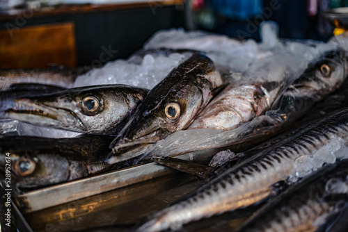 Fresh sea fish just off the boat frozen in ice for sale in the Ban Na Kluea market, Pattaya, Thailand photo