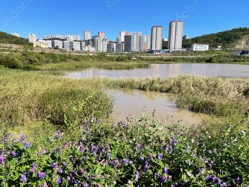 Vladivostok, Patroclus (Patrokl) bay. Residential neighborhood on Sochinskaya street and nameless lake in autumn in sunny weather photo