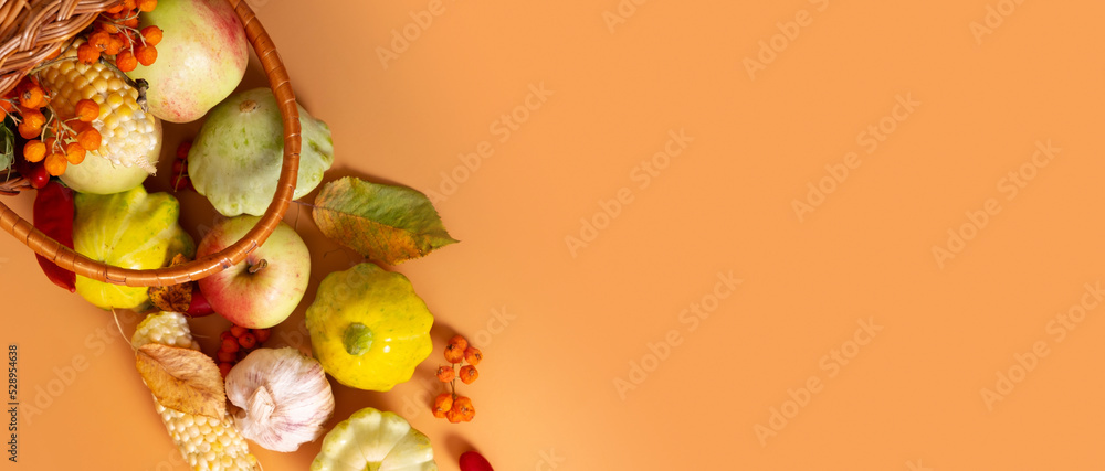 Banner with top view autumn harvest basket with corn, apples, zucchini and peppers on a orange background
