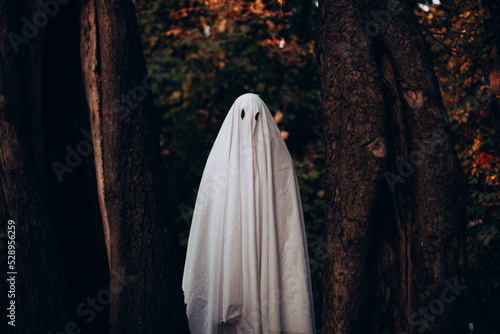 Obraz na płótnie Ghost standing between trees in forest during Halloween