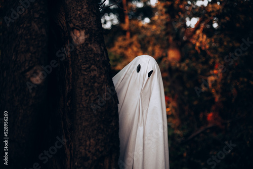 Ghost standing behind the tree in forest during Halloween