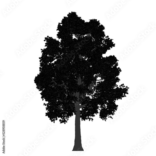 Sagoma Albero 08