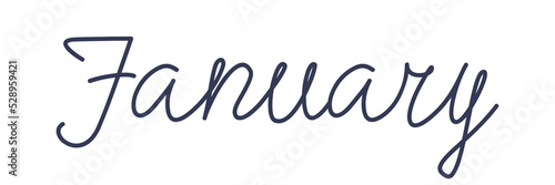 January. Handwriting text of the month of the year. Hand drawn lettering on a transparent background.
