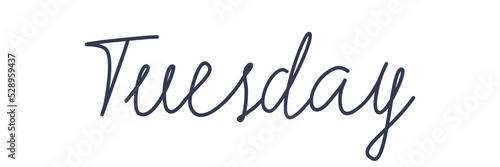 Tuesday. Handwriting text day of the week. Hand drawn lettering on a transparent background.