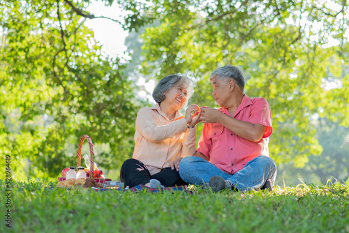 Happy old elderly couple spouses relaxing and sitting on a blanket in the park and sharing few precious memories. Senior couple having great time together on a picnic. concept of mature relationships