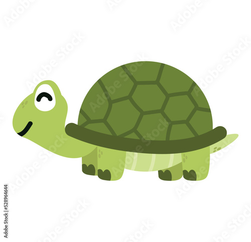  turtle wild  animal cartoon vector