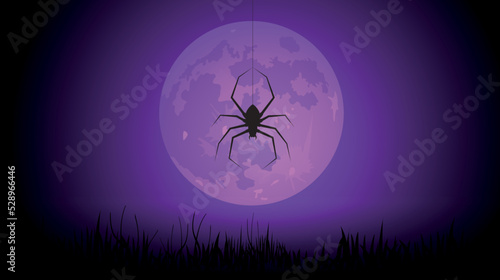 sfondo, sagome, ragno, ragnatela, luna piena, 