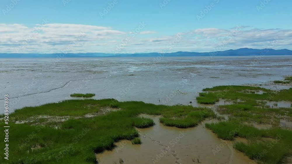 Aerial drone video, filming backwards over the bank and tall grass showing the landscape of La Pocatiere, Quebec Aerial drone video, filming backwards over the bank and tall grass showing the landscape of La Pocatiere, Quebec