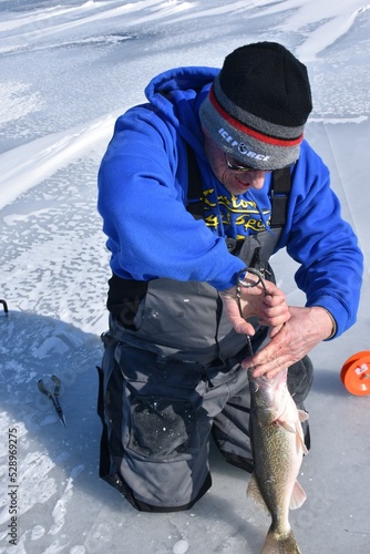 An ice angler unhooking a walleye  photo