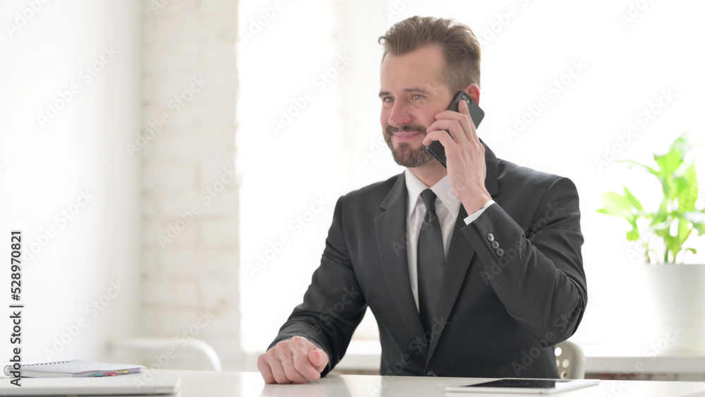 Young Businessman Talking on Phone in Office Young Businessman Talking on Phone in Office