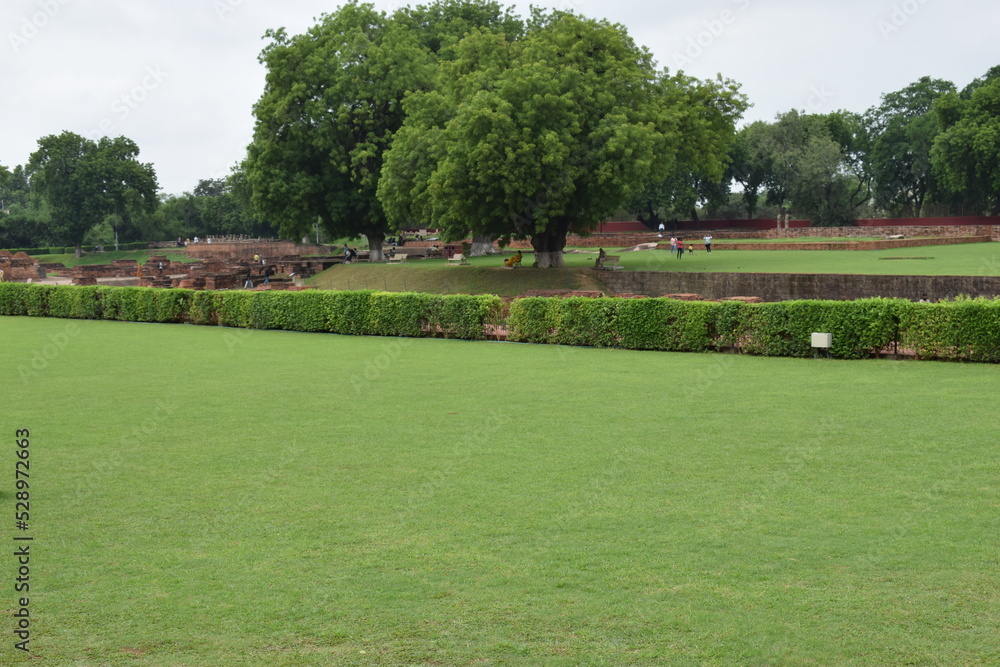 Obraz premium Green meadows in the valley