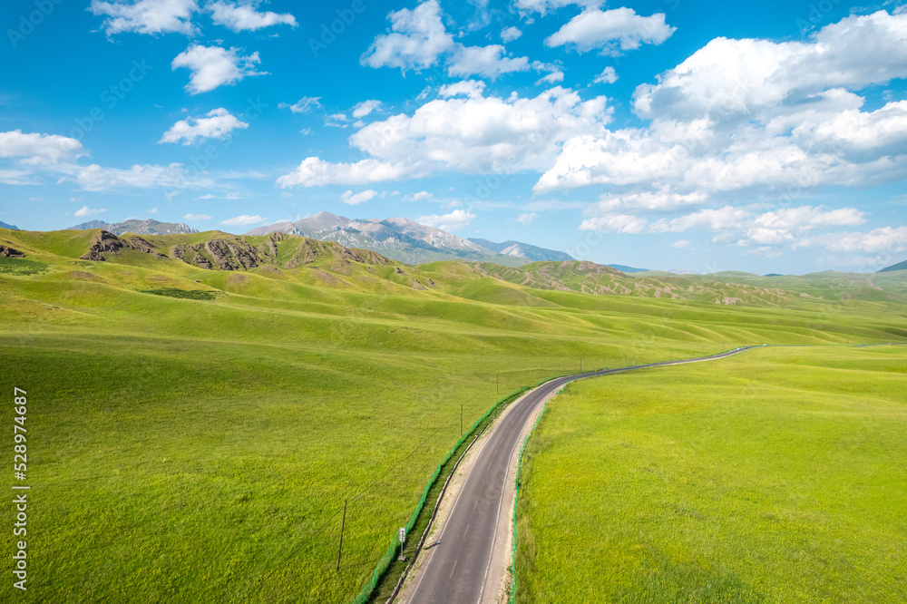 forest & grassland scenery in Xinjiang China