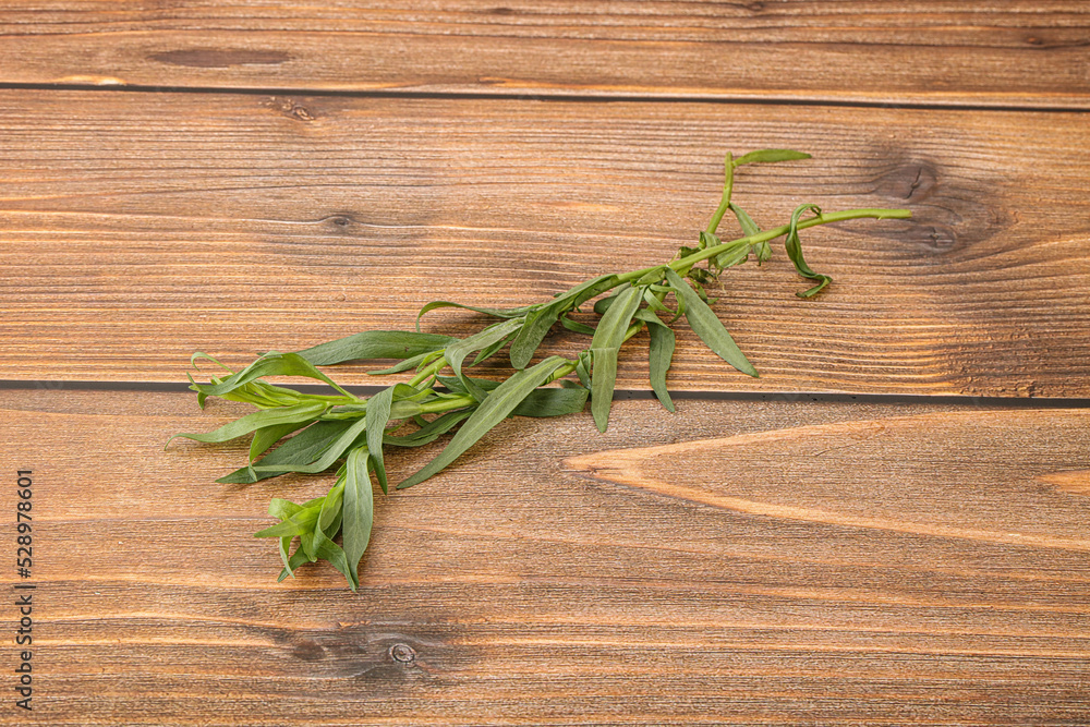 Green tarragon herb spice for cooking Green tarragon herb spice for cooking