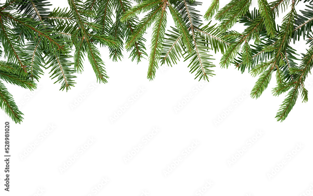 Christmas background. Christmas branches of fir, thuja, spruce isolated on white background, top view Christmas background. Christmas branches of fir, thuja, spruce isolated on white background, top view