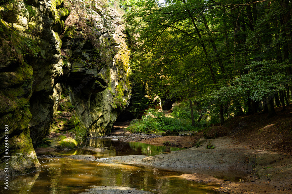 Nature reserve Zidova strouha (Židova strouha - in czech) near city Bechyne. Czech republic.