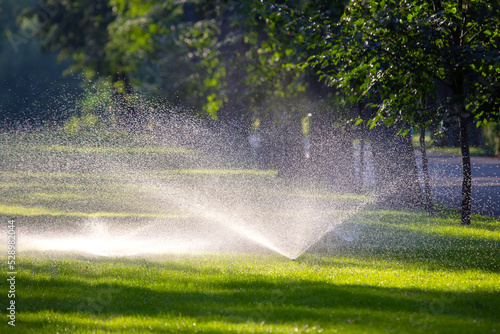 automatic watering of lawns in the park. watering decorative grass in the recreation area of ​​the city park. water fountain in sunlight
