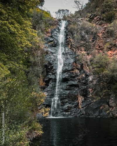 Vertical shot of the Waterfall Gully in Cleland National Park, Adelaide, Australia