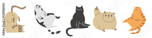 Cute vector illustration. Different cats on white background. Siamese, Persian, red and striped cats. Cute fat cats. 