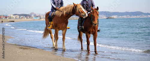 海岸での乗馬　 photo