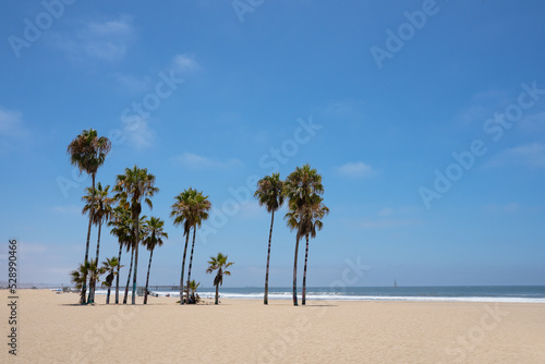 Green Palm trees on clean venice beach Los Angeles California on a bright sunny day against a big sky and a boat