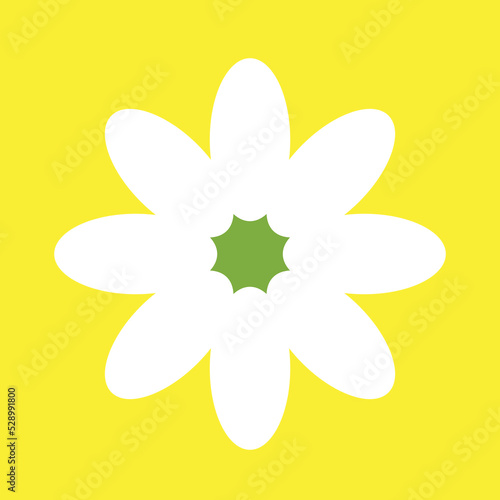One white chamomile on a yellow square background