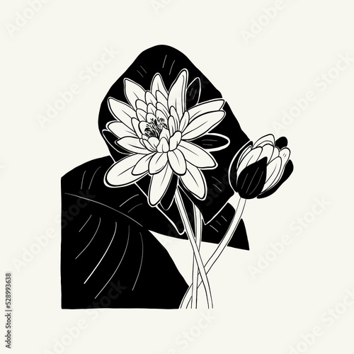 Flowers, Botanica illustration. Black ink, line, doodle style. 
