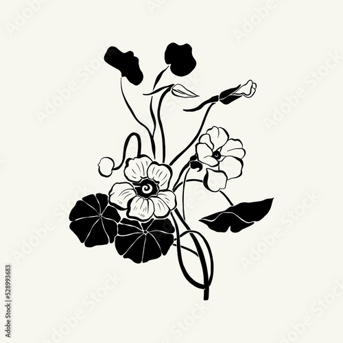 Flowers, Botanica illustration. Black ink, line, doodle style. 