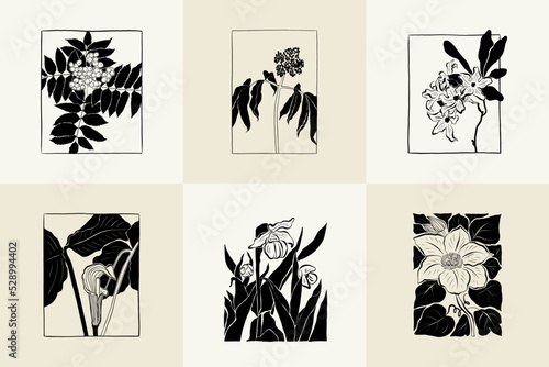 Flowers, Botanica illustration collection. Black ink, line, doodle style. 