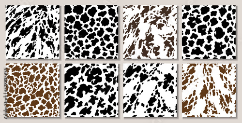 Animal background. Cow Hide, Holstein cattle texture. Mammals Fur. Print skin. Predator Camouflage. Printable Vector illustration.