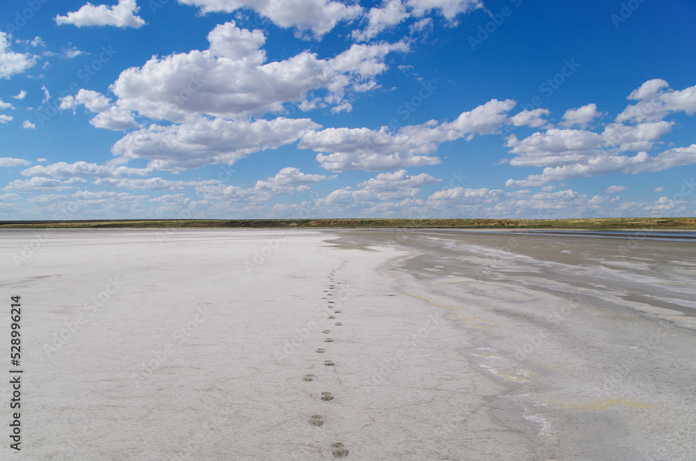 Chain of footprints along salt coast of lake Elton. Is 18 m below sea level. Is largest mineral lake in Europe and one of most mineralized in world. Russia, Volgograd Oblast